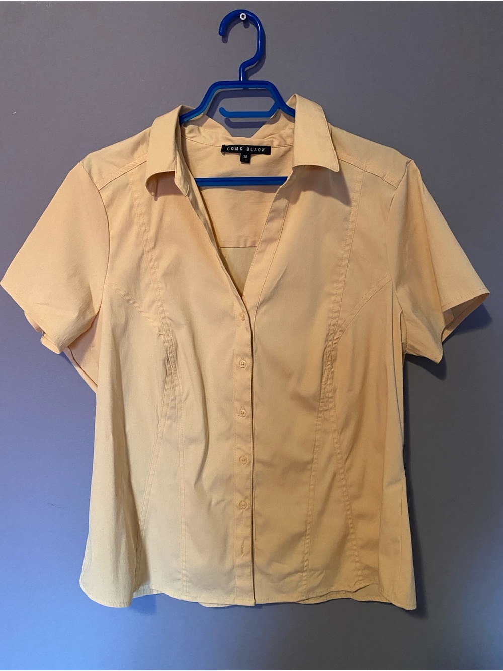 Women's Short Sleeve Button-Down Shirt in Pale Yellow